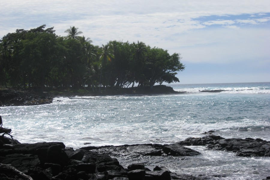 ../image/kona shoreline 5.jpg